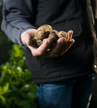 Grupy producentów rolnych
