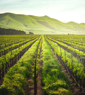 Usługi rachunkowo-księgowe