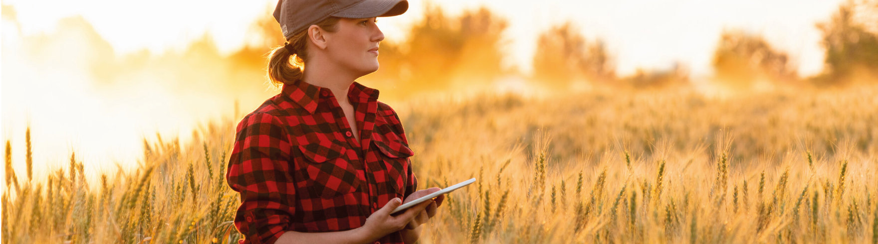 Wnioski inwestycyjne PROW